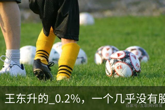 王东升的 0.2%，一个几乎没有股权的创始人，却三次上市敲钟